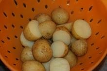 Kogte kartofler