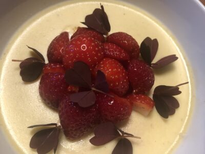 Hvid chokolade Panna Cotta