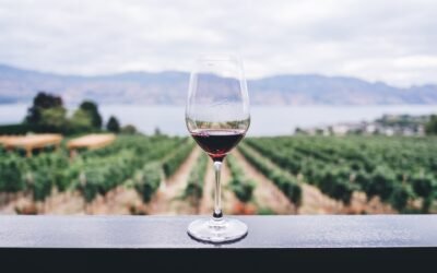 Find gode tilbud på gode vin online