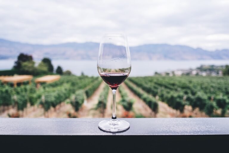 Find gode tilbud på gode vin online