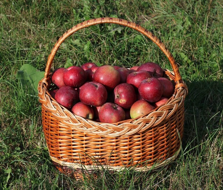 Æbleskiver og gløgg