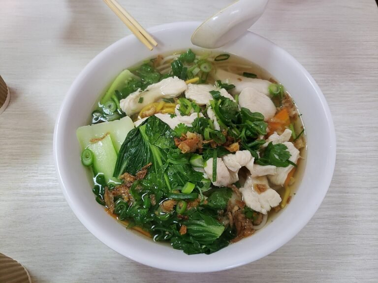 Asiatisk hønsekødssuppe