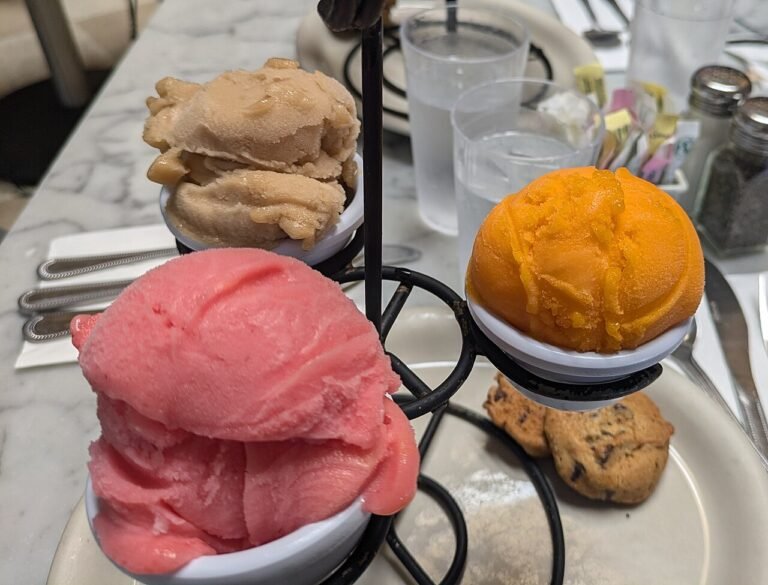 Chokoladesorbet