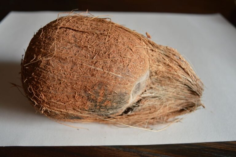 coconut
