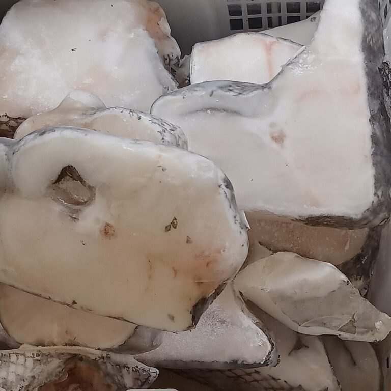Dampet torsk med kogte kartofler
