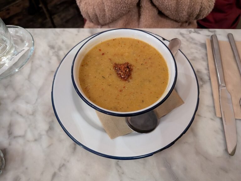 Grønsagssuppe med linser