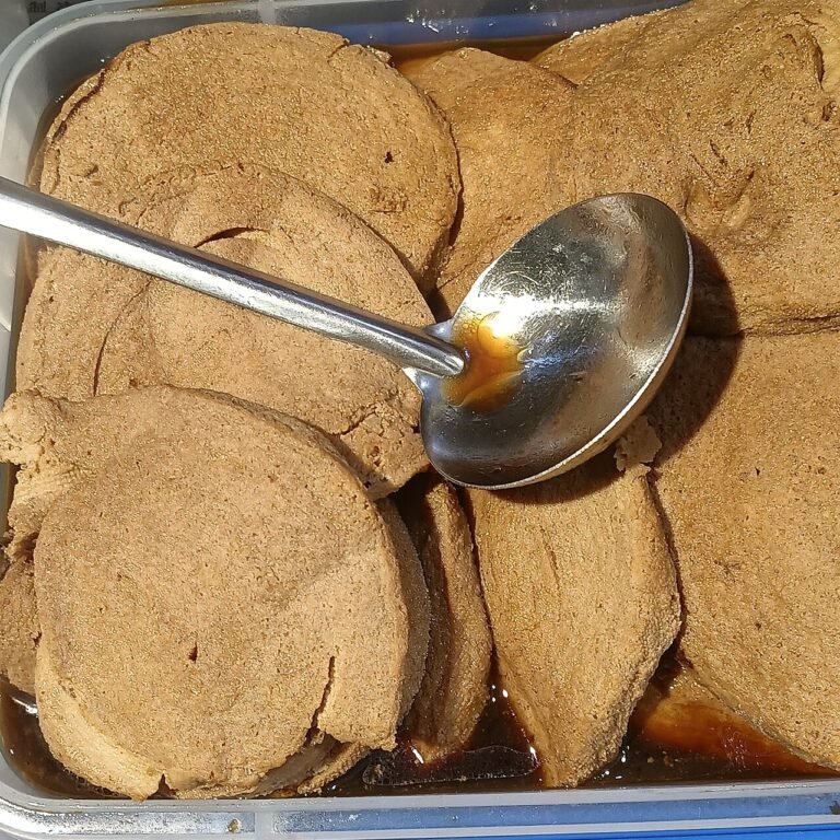 Kylling i mangosauce