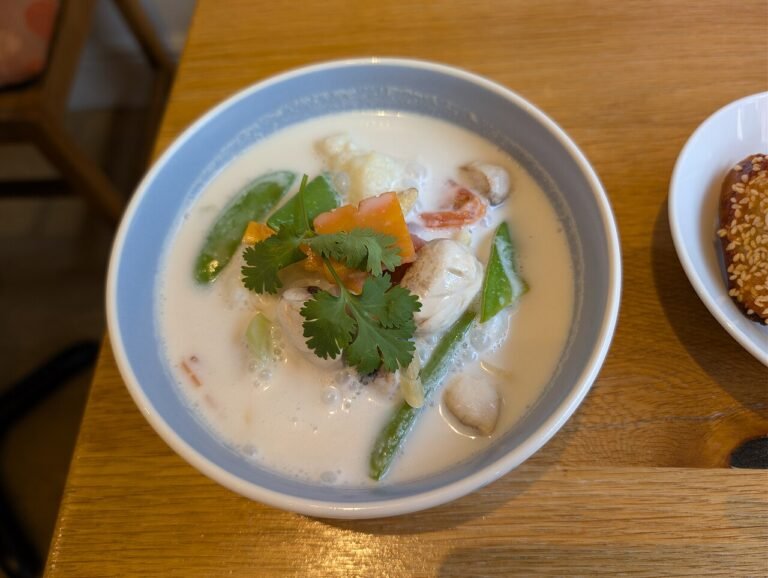 Kyllingesuppe med kokosmælk
