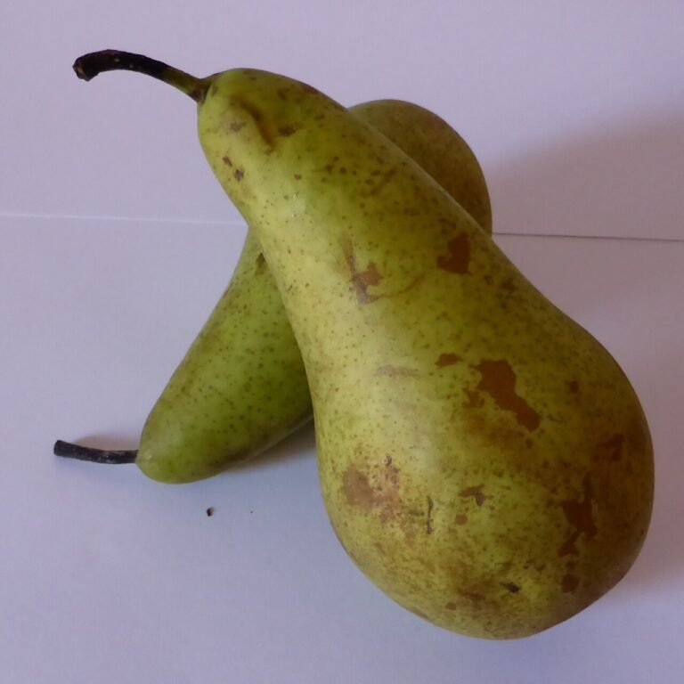 pear