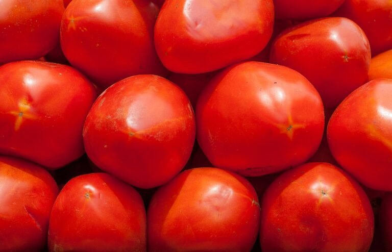tomato