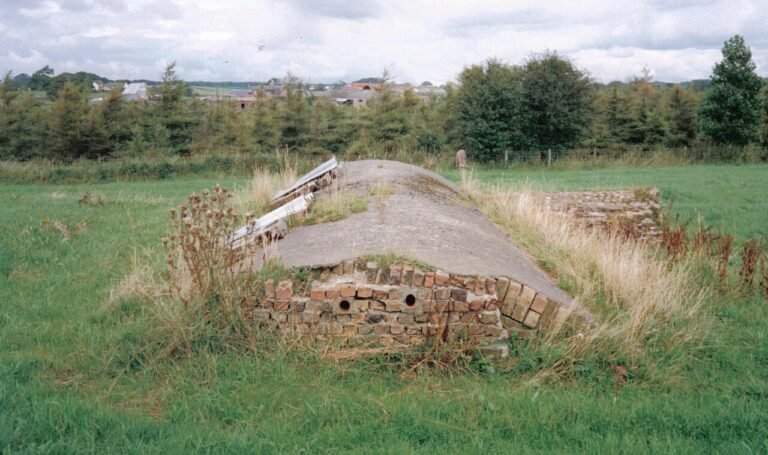 Vildtragout